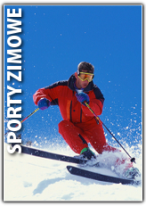 Sporty zimowe